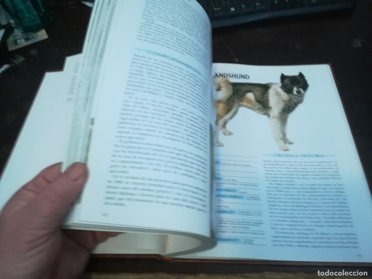 Libros de segunda mano: MIS AMIGOS LOS PERROS VOLUMEN 3 / CONS254 / PLANETA - Foto 10