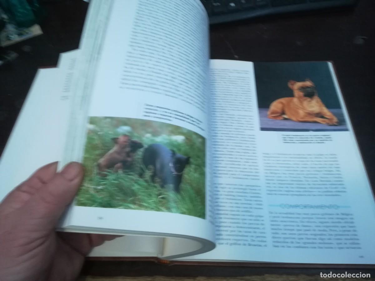 Libros de segunda mano: MIS AMIGOS LOS PERROS VOLUMEN 3 / CONS254 / PLANETA - Foto 11