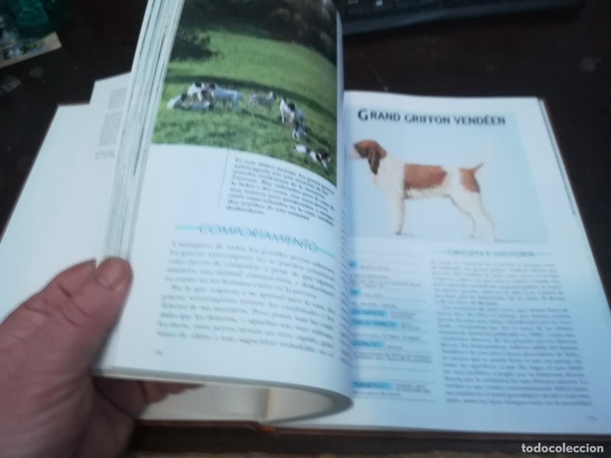 Libros de segunda mano: MIS AMIGOS LOS PERROS VOLUMEN 3 / CONS254 / PLANETA - Foto 12