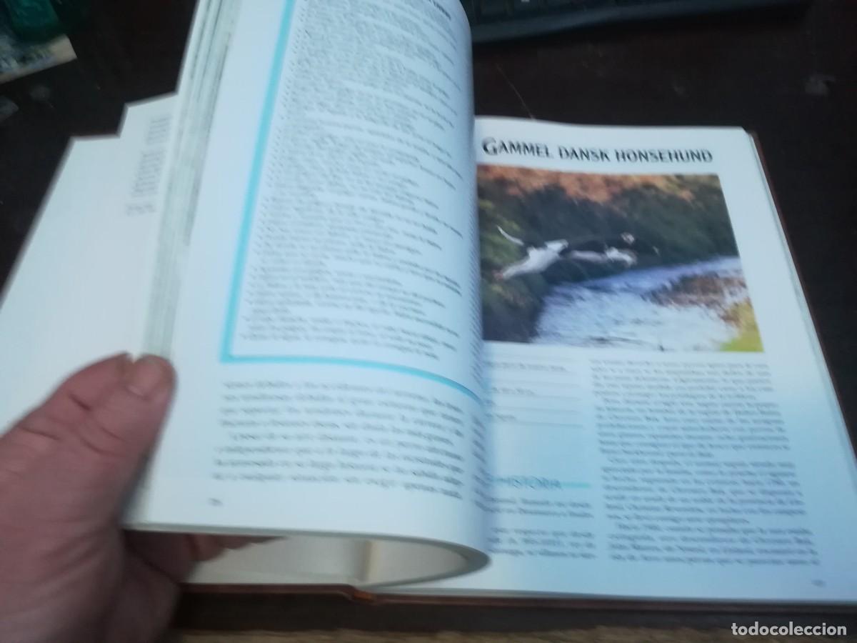Libros de segunda mano: MIS AMIGOS LOS PERROS VOLUMEN 3 / CONS254 / PLANETA - Foto 13