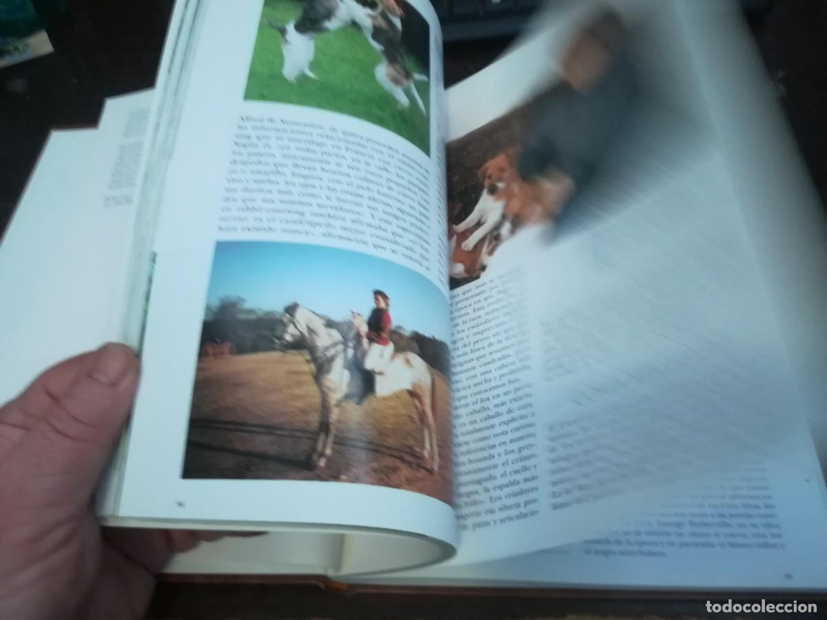 Libros de segunda mano: MIS AMIGOS LOS PERROS VOLUMEN 3 / CONS254 / PLANETA - Foto 14