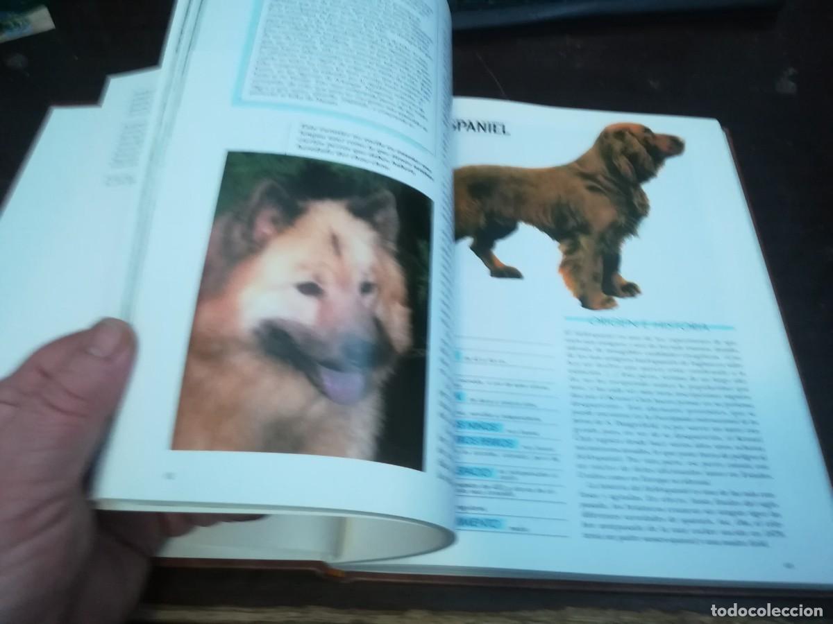 Libros de segunda mano: MIS AMIGOS LOS PERROS VOLUMEN 3 / CONS254 / PLANETA - Foto 15