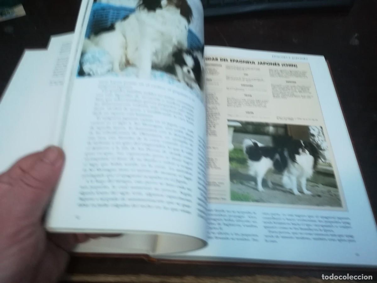 Libros de segunda mano: MIS AMIGOS LOS PERROS VOLUMEN 3 / CONS254 / PLANETA - Foto 16