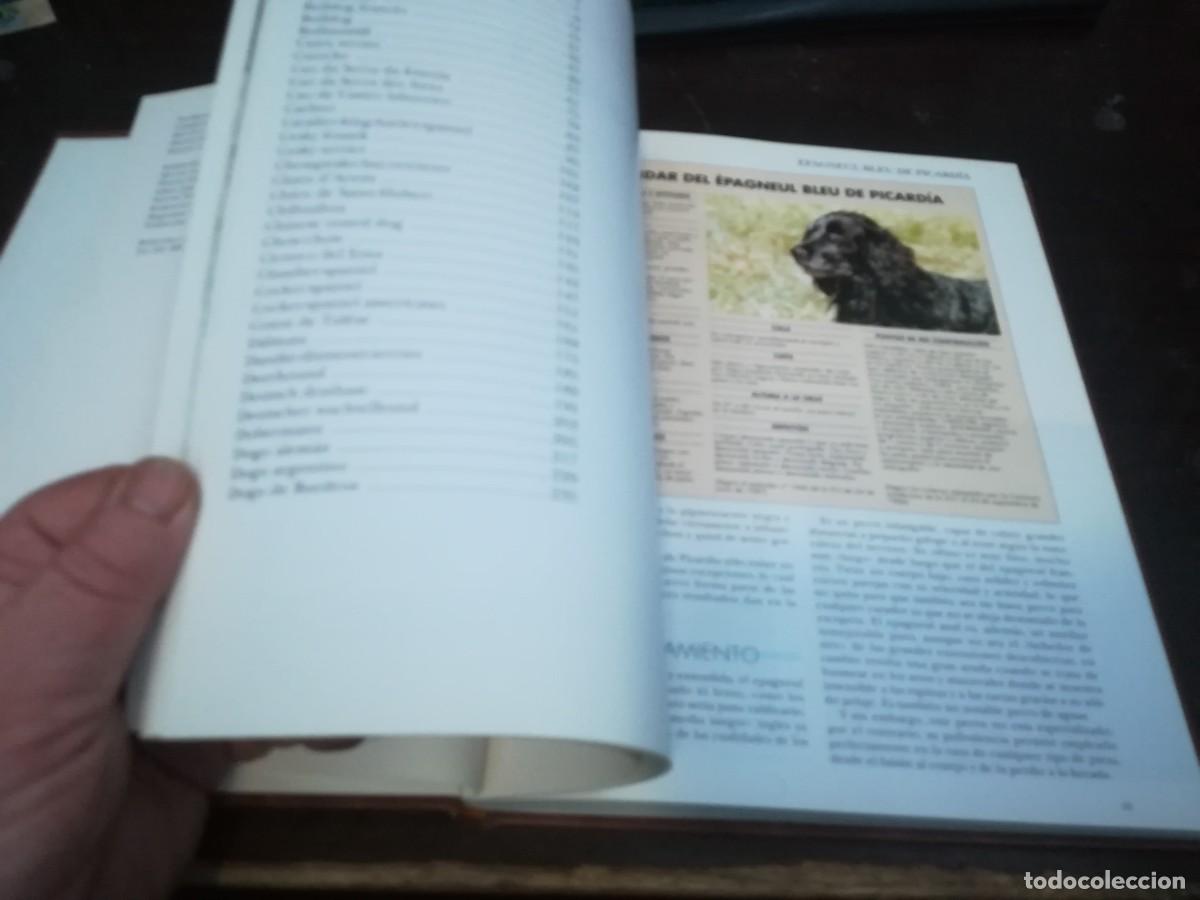 Libros de segunda mano: MIS AMIGOS LOS PERROS VOLUMEN 3 / CONS254 / PLANETA - Foto 17