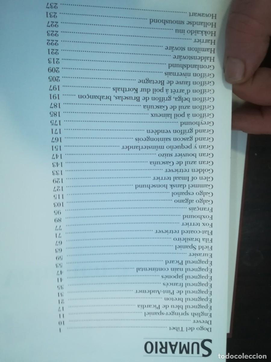 Libros de segunda mano: MIS AMIGOS LOS PERROS VOLUMEN 3 / CONS254 / PLANETA - Foto 18