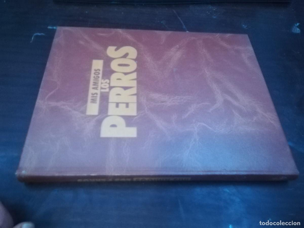 Libros de segunda mano: MIS AMIGOS LOS PERROS VOLUMEN / CONS254 / PLANETA - Foto 1
