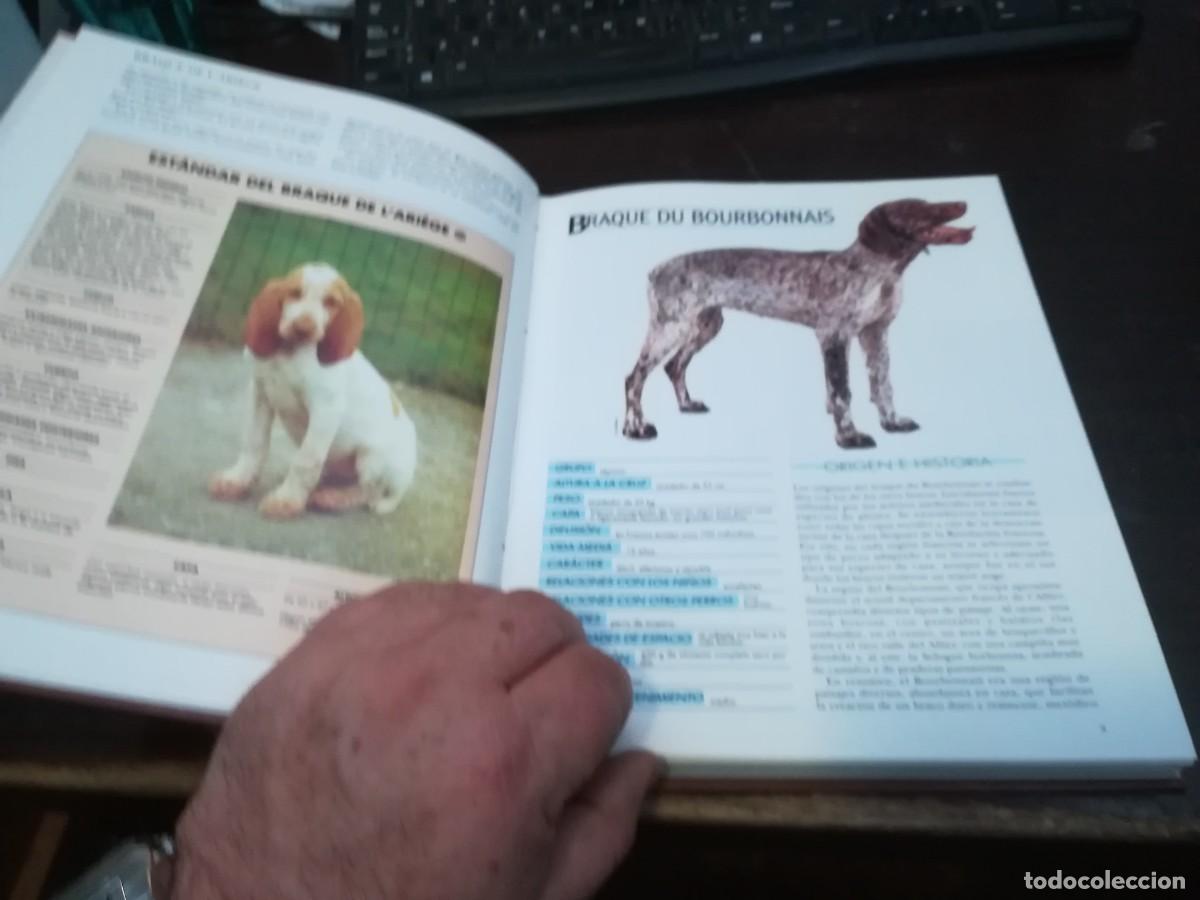 Libros de segunda mano: MIS AMIGOS LOS PERROS VOLUMEN / CONS254 / PLANETA - Foto 3