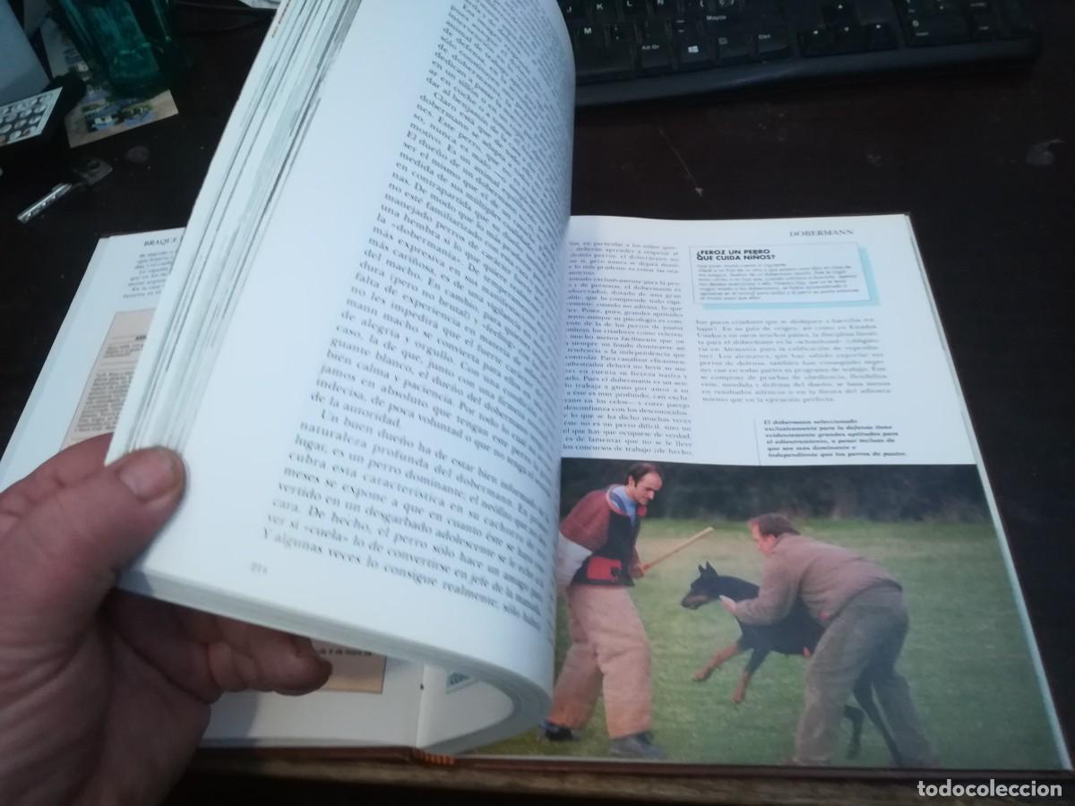 Libros de segunda mano: MIS AMIGOS LOS PERROS VOLUMEN / CONS254 / PLANETA - Foto 4