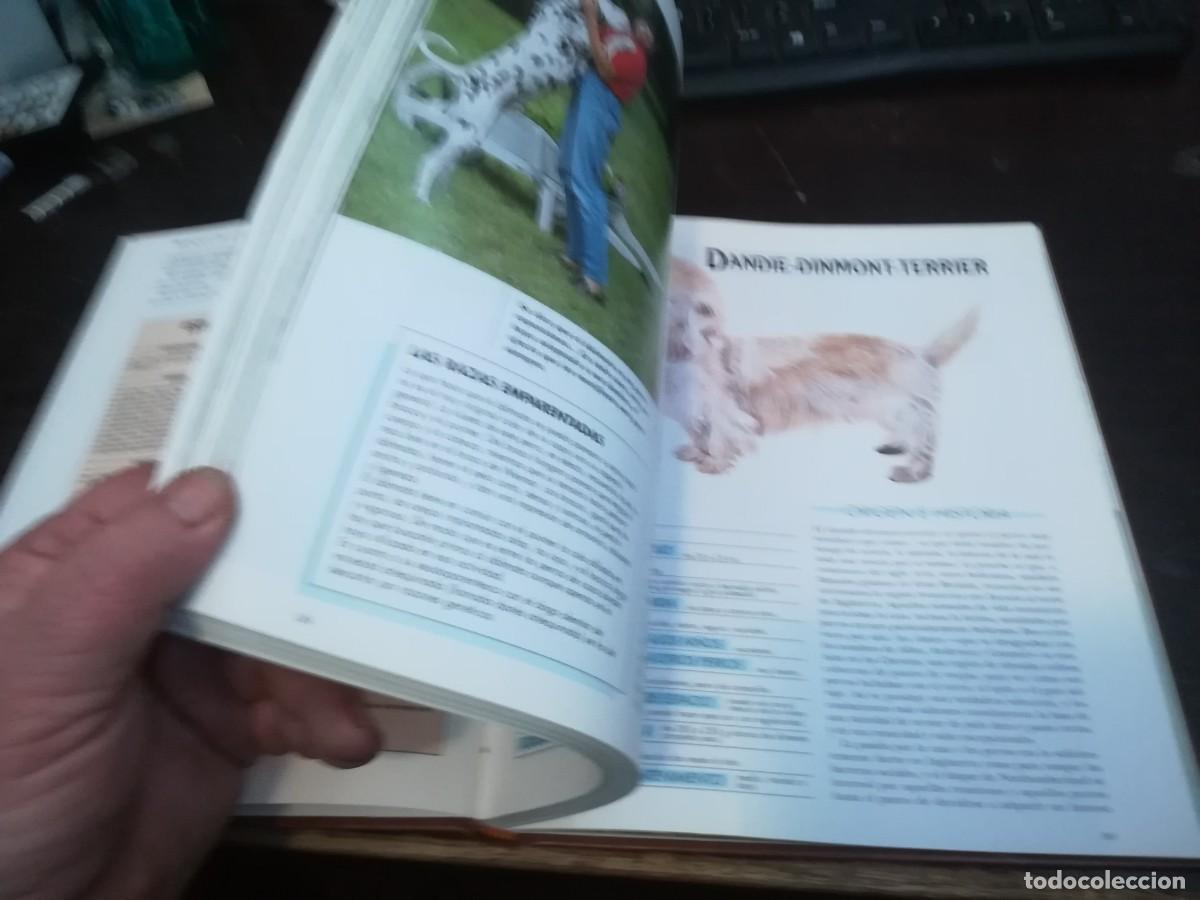 Libros de segunda mano: MIS AMIGOS LOS PERROS VOLUMEN / CONS254 / PLANETA - Foto 5