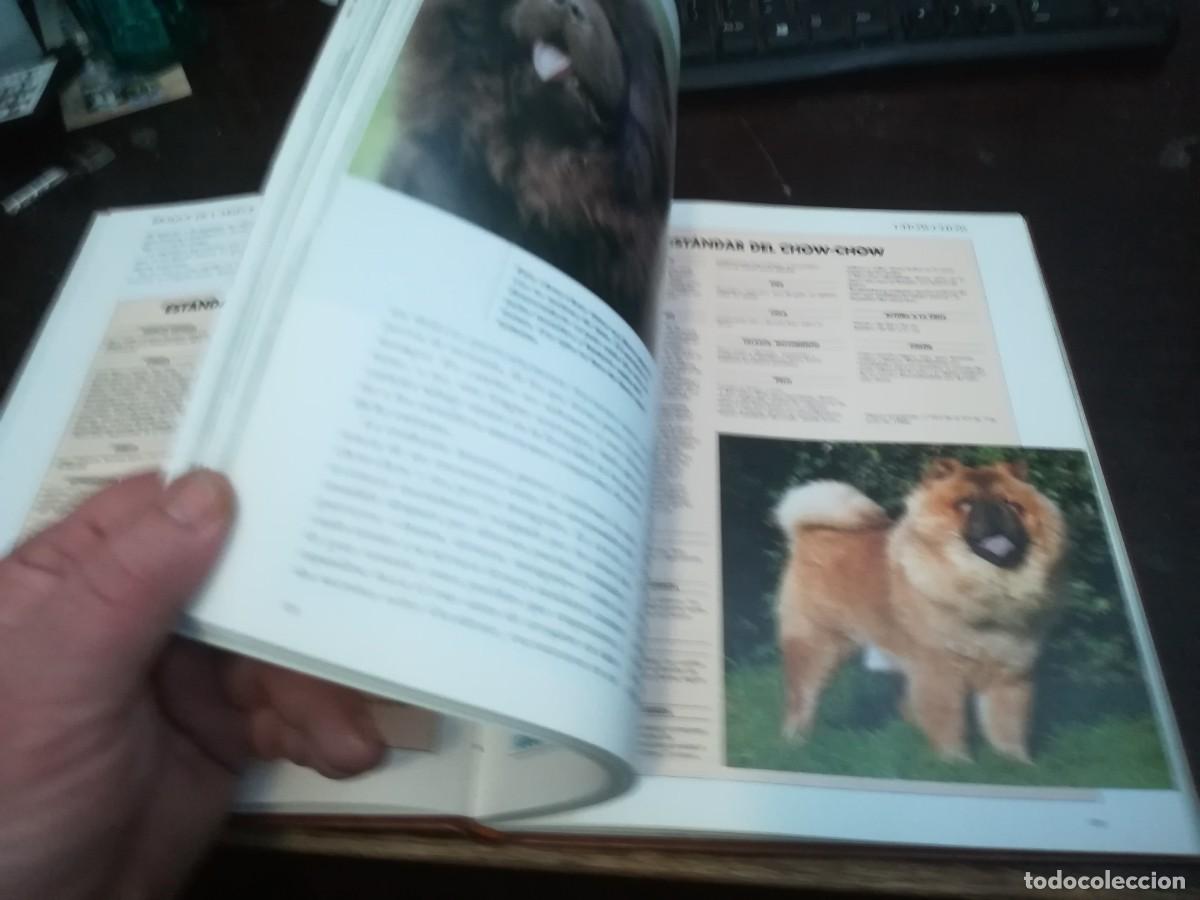 Libros de segunda mano: MIS AMIGOS LOS PERROS VOLUMEN / CONS254 / PLANETA - Foto 6
