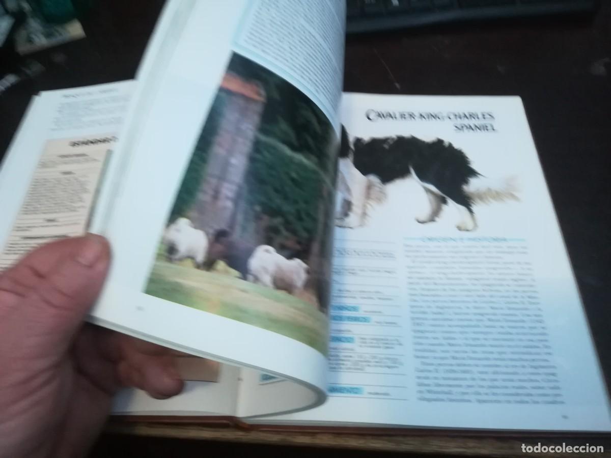 Libros de segunda mano: MIS AMIGOS LOS PERROS VOLUMEN / CONS254 / PLANETA - Foto 7