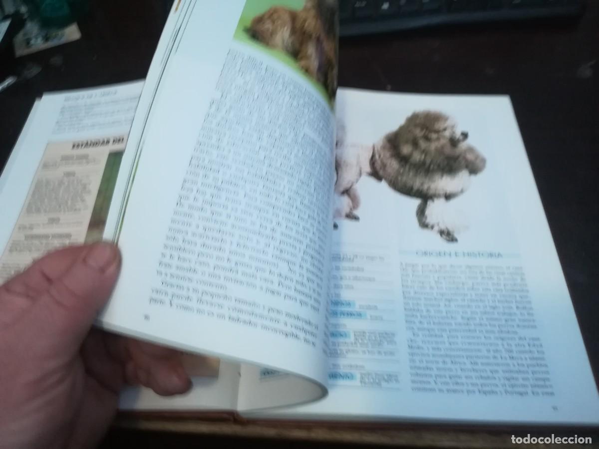Libros de segunda mano: MIS AMIGOS LOS PERROS VOLUMEN / CONS254 / PLANETA - Foto 8