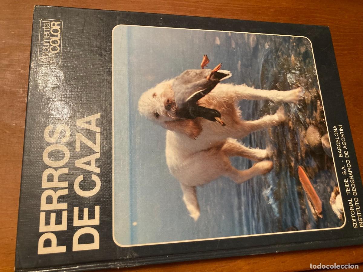 Libros de segunda mano: PERROS DE CAZA / CONS292 / TEIDE - Foto 1