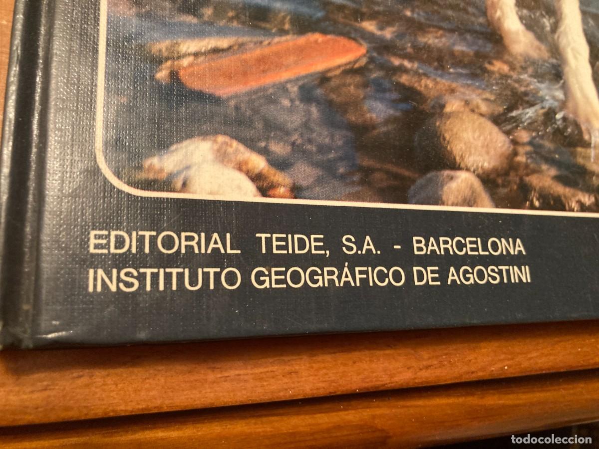 Libros de segunda mano: PERROS DE CAZA / CONS292 / TEIDE - Foto 2