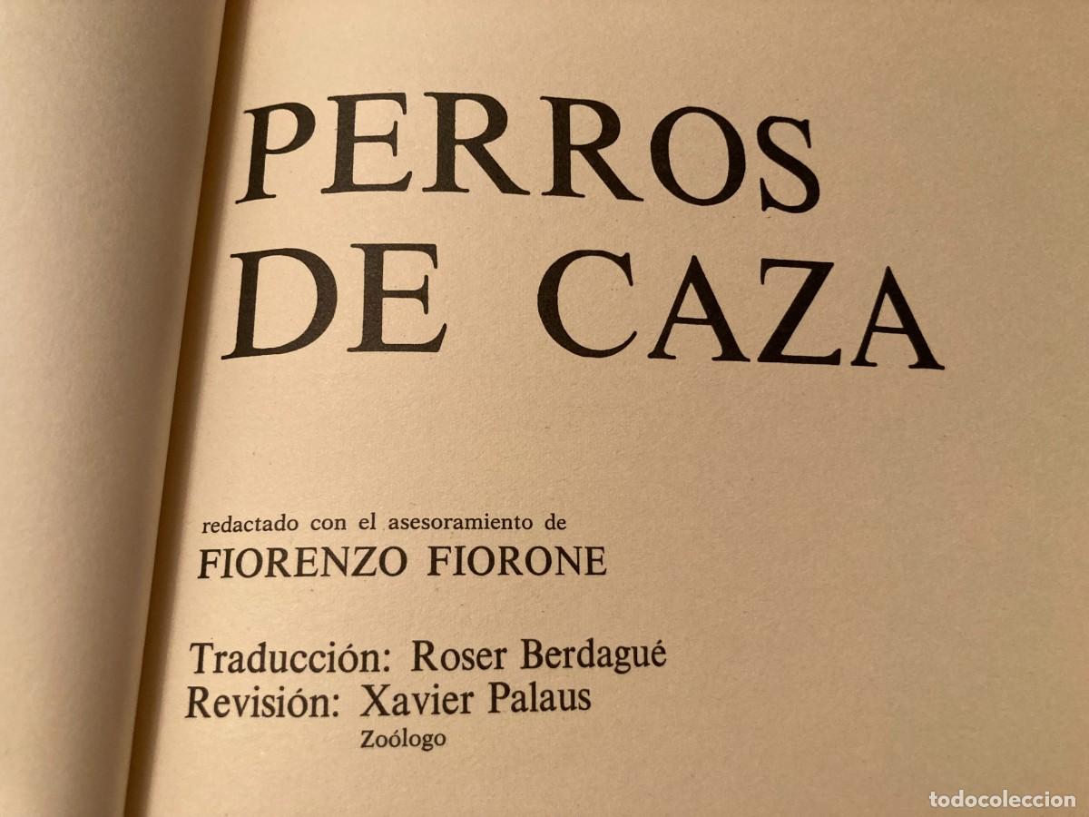 Libros de segunda mano: PERROS DE CAZA / CONS292 / TEIDE - Foto 3