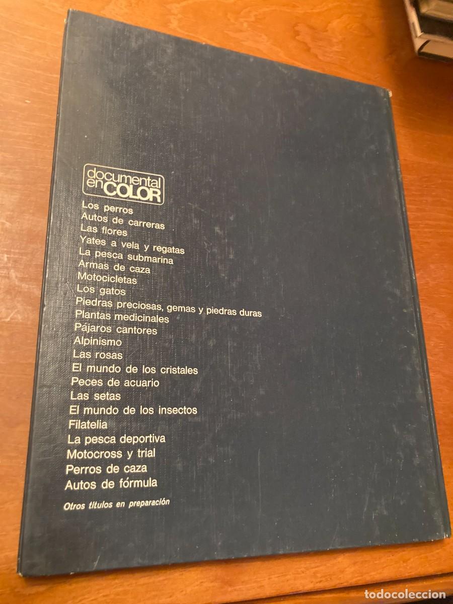 Libros de segunda mano: PERROS DE CAZA / CONS292 / TEIDE - Foto 8