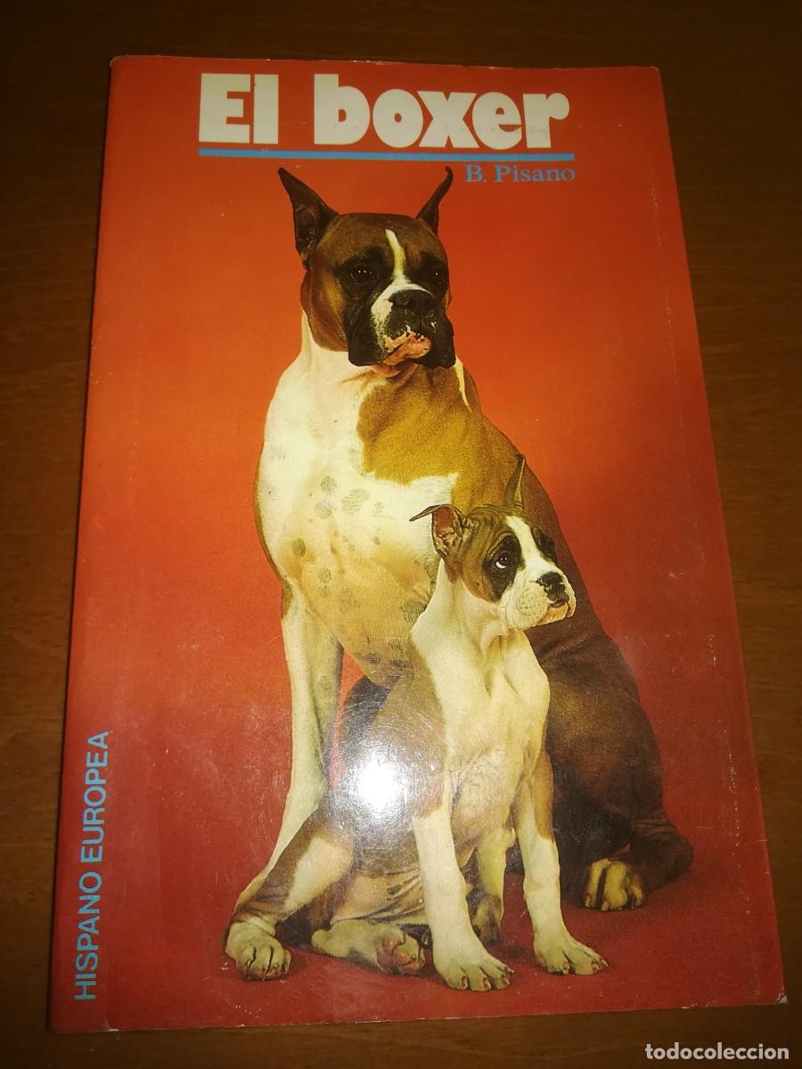 Libros de segunda mano: EL BOXER / B PISANO / CONS399 / HISPANO EUROPEA / - Foto 1