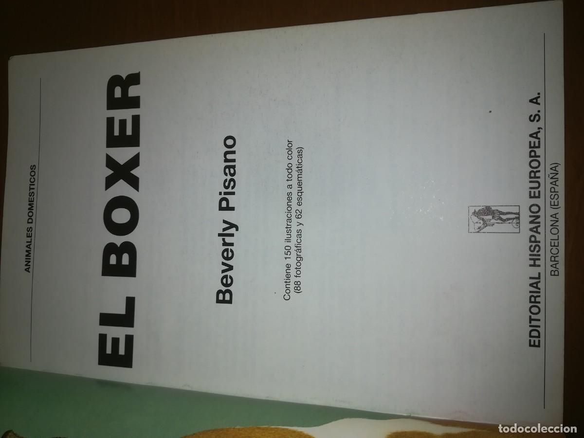 Libros de segunda mano: EL BOXER / B PISANO / CONS399 / HISPANO EUROPEA / - Foto 2
