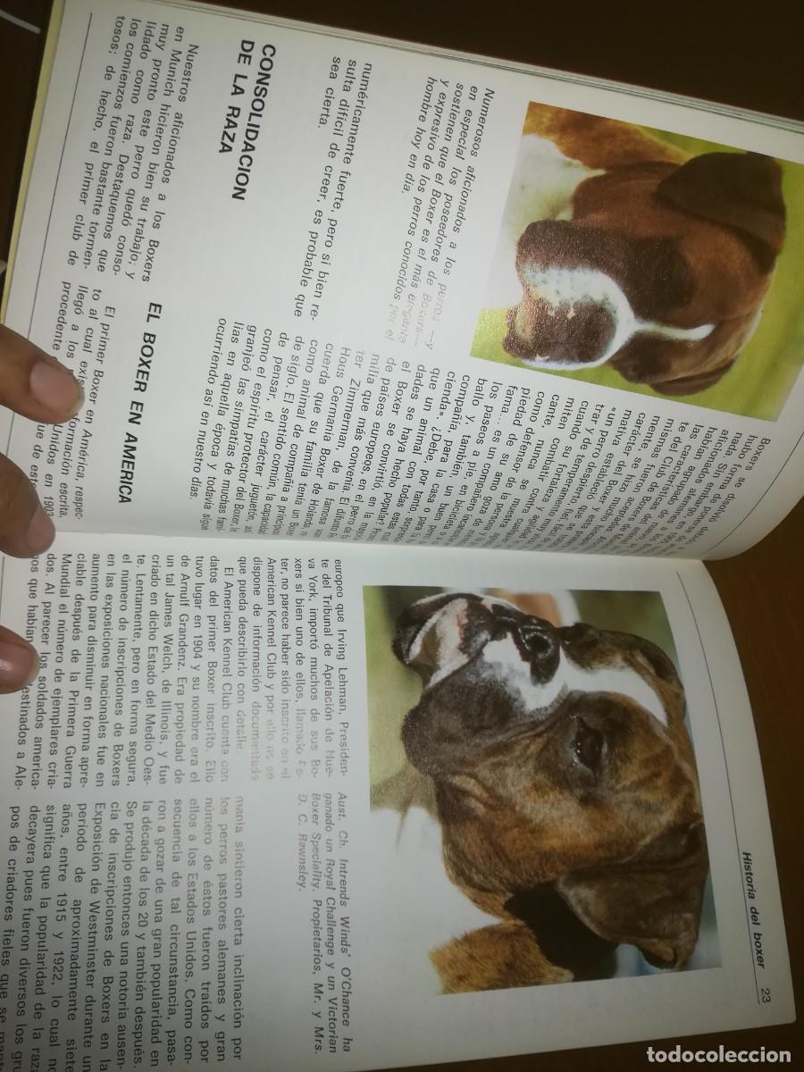 Libros de segunda mano: EL BOXER / B PISANO / CONS399 / HISPANO EUROPEA / - Foto 5