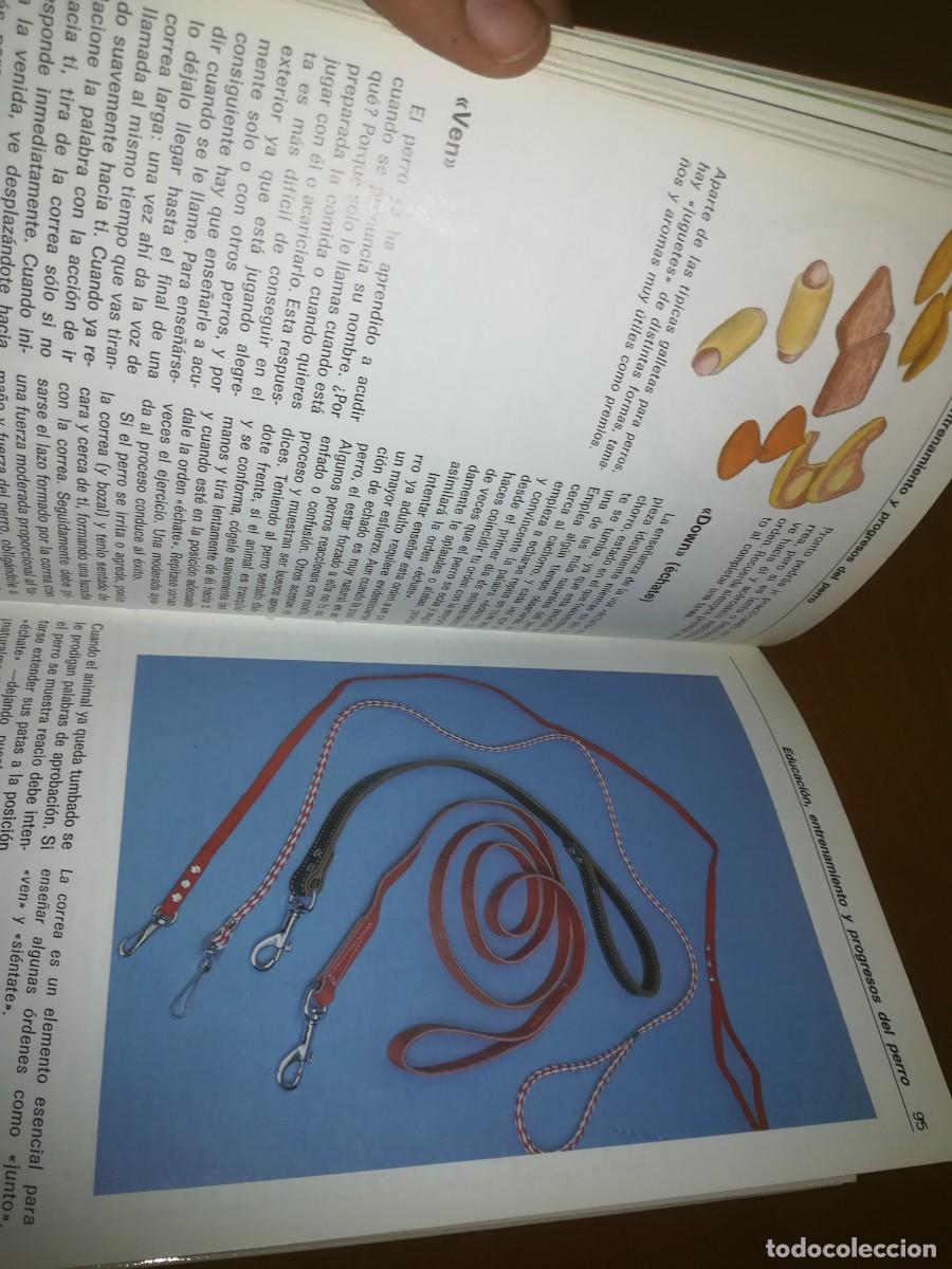 Libros de segunda mano: EL BOXER / B PISANO / CONS399 / HISPANO EUROPEA / - Foto 7