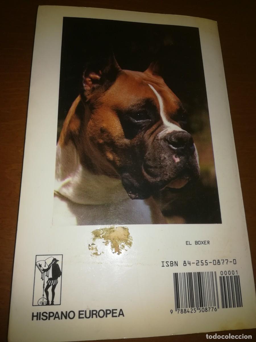 Libros de segunda mano: EL BOXER / B PISANO / CONS399 / HISPANO EUROPEA / - Foto 10
