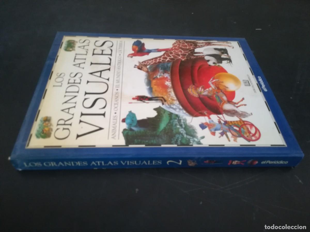 Libros de segunda mano: ATLAS VISUAL ANIMALES / EL PERIODICO / CONS451GV - Foto 1