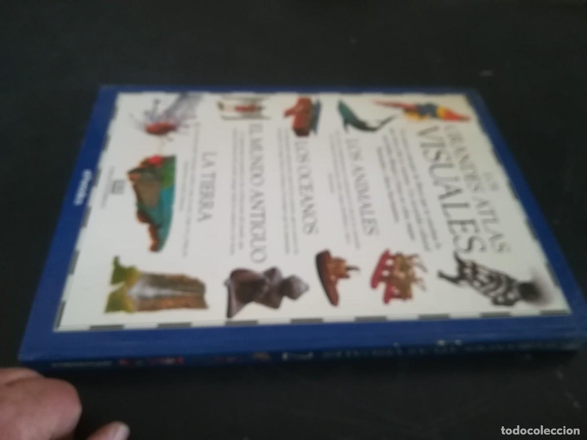 Libros de segunda mano: ATLAS VISUAL ANIMALES / EL PERIODICO / CONS451GV - Foto 3