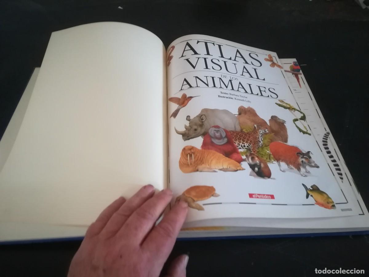 Libros de segunda mano: ATLAS VISUAL ANIMALES / EL PERIODICO / CONS451GV - Foto 4