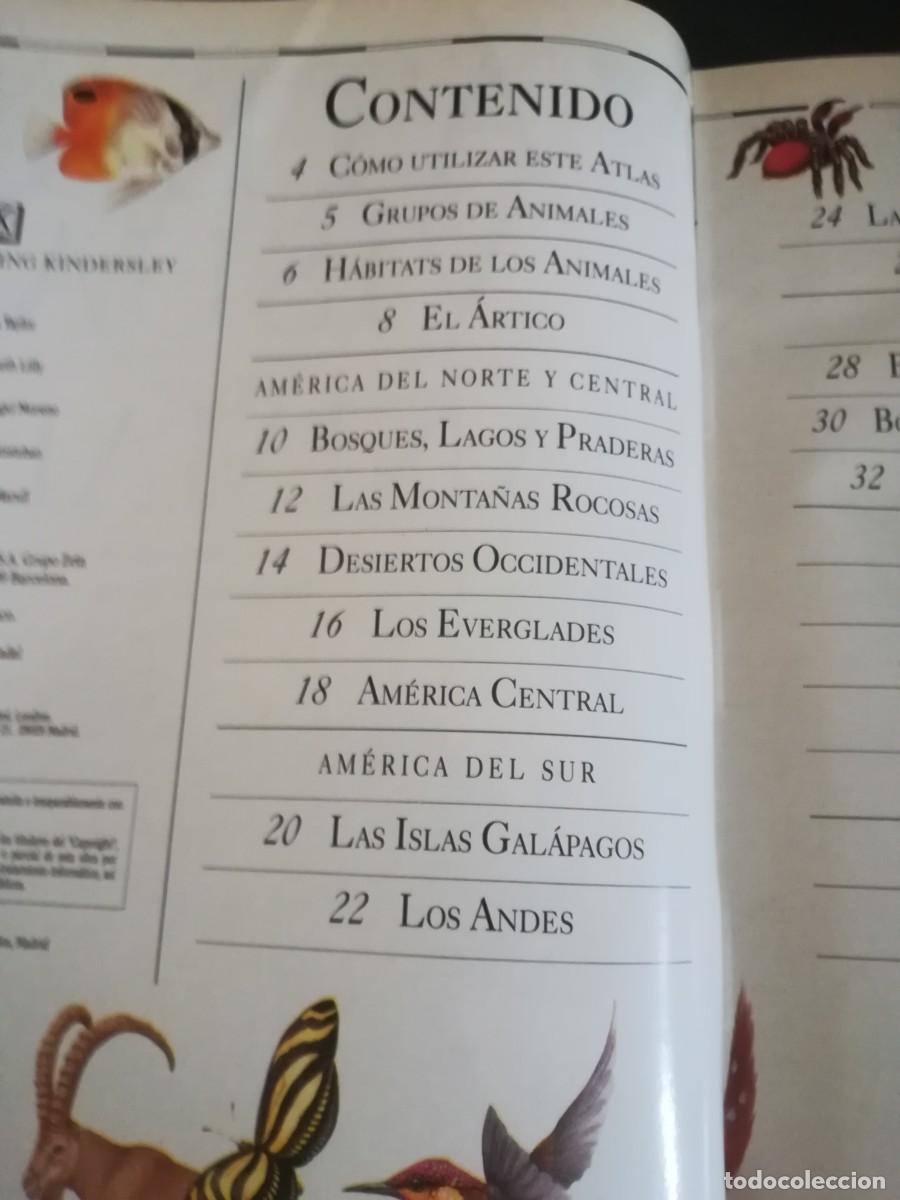 Libros de segunda mano: ATLAS VISUAL ANIMALES / EL PERIODICO / CONS451GV - Foto 7