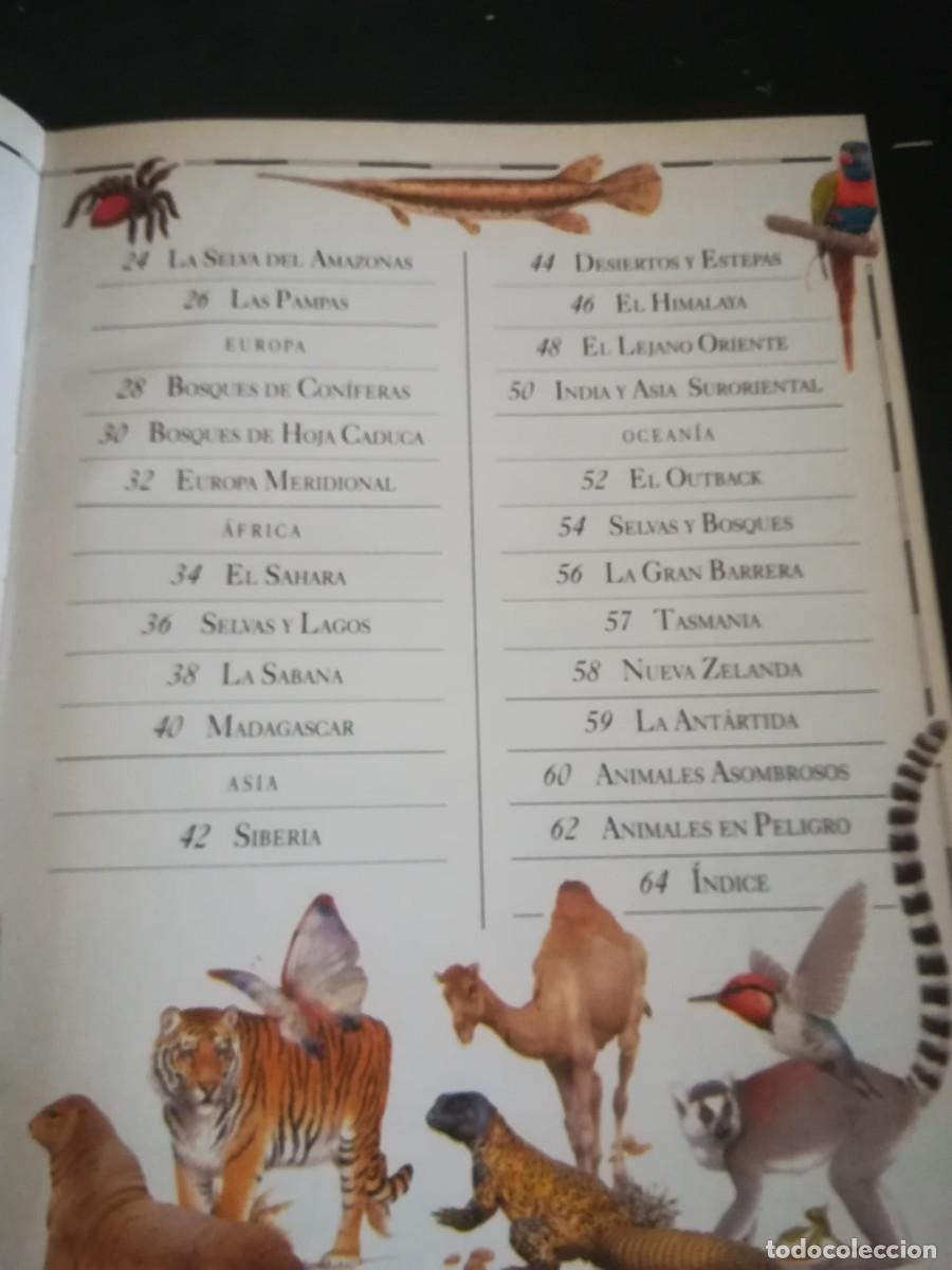 Libros de segunda mano: ATLAS VISUAL ANIMALES / EL PERIODICO / CONS451GV - Foto 8