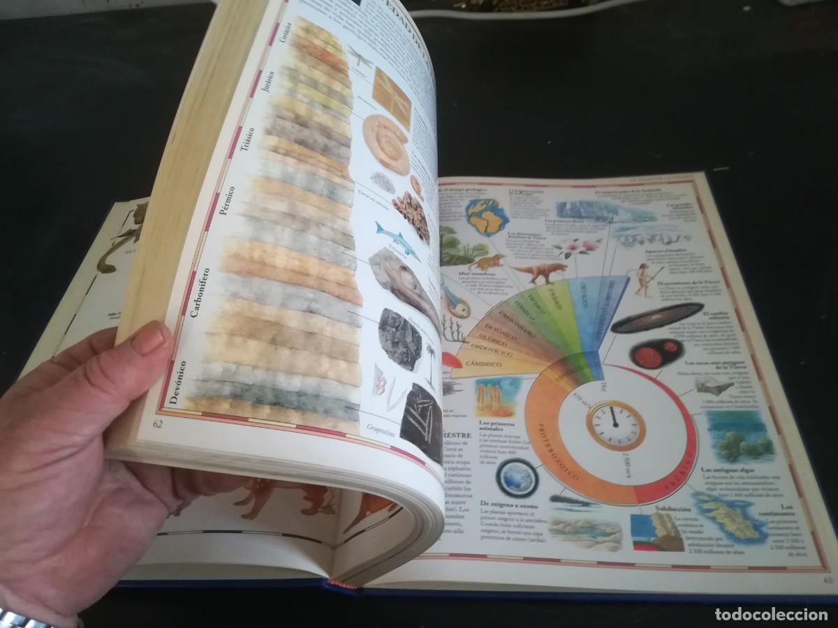 Libros de segunda mano: ATLAS VISUAL ANIMALES / EL PERIODICO / CONS451GV - Foto 9