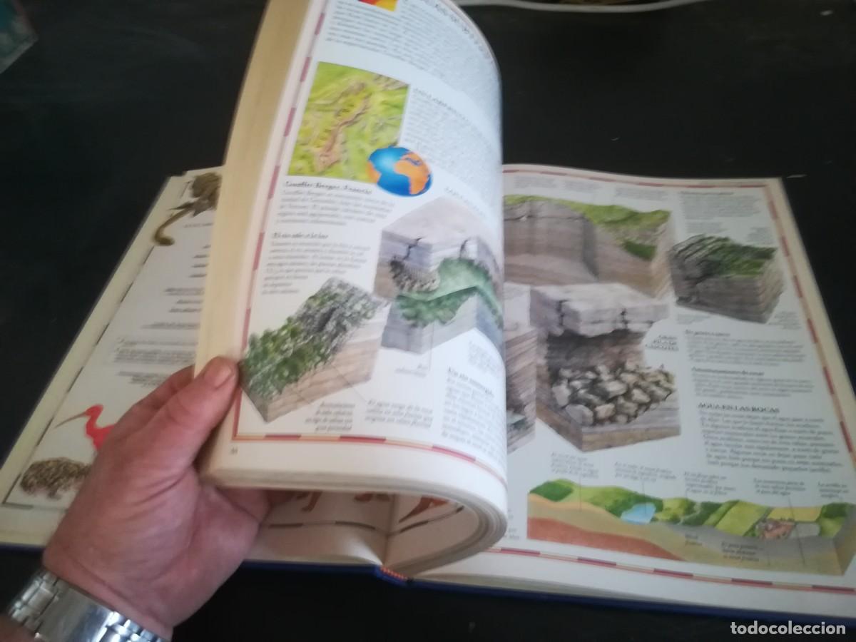 Libros de segunda mano: ATLAS VISUAL ANIMALES / EL PERIODICO / CONS451GV - Foto 10