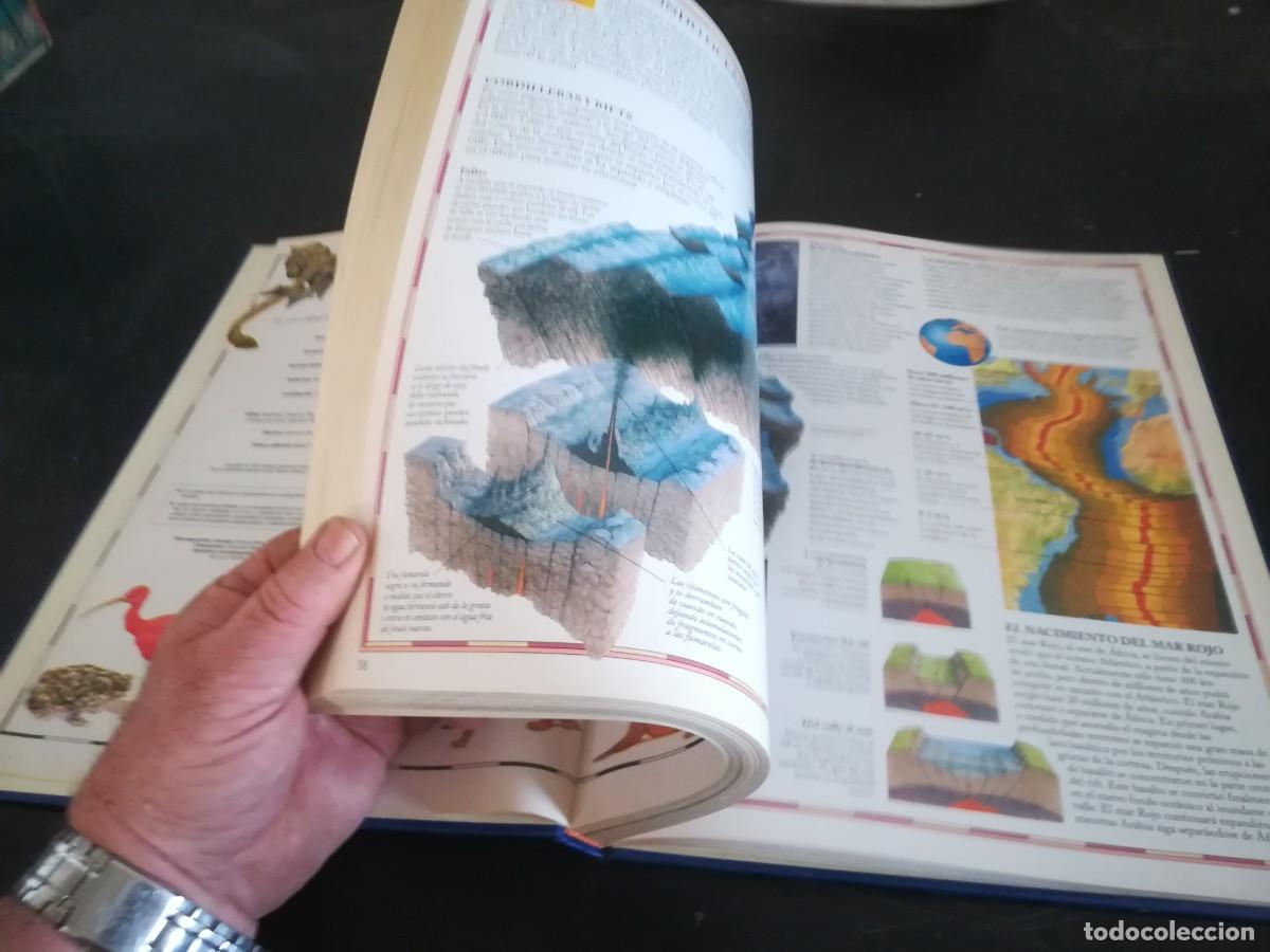 Libros de segunda mano: ATLAS VISUAL ANIMALES / EL PERIODICO / CONS451GV - Foto 11