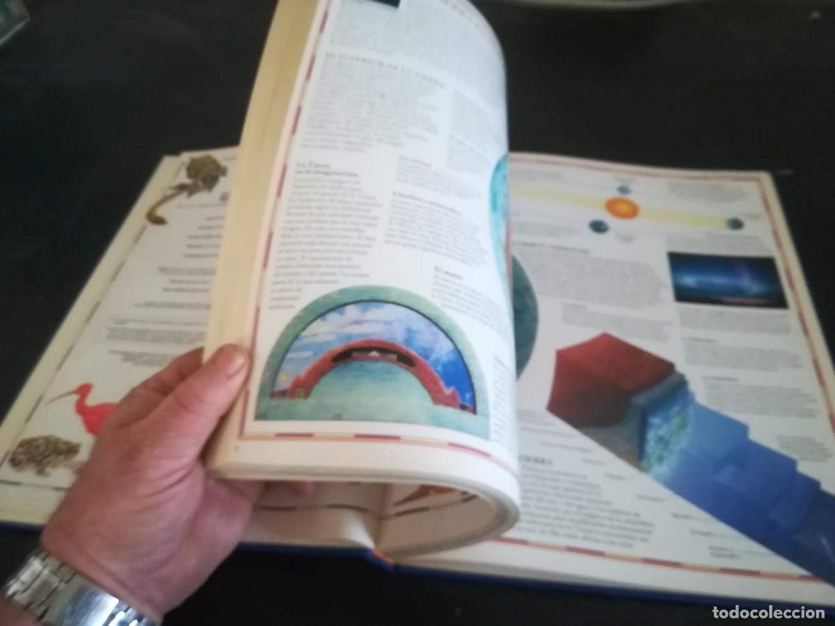 Libros de segunda mano: ATLAS VISUAL ANIMALES / EL PERIODICO / CONS451GV - Foto 12