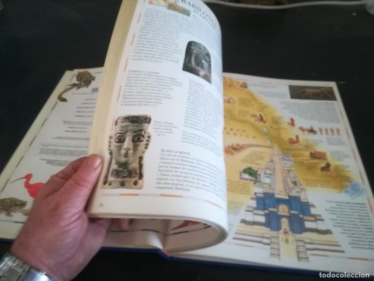 Libros de segunda mano: ATLAS VISUAL ANIMALES / EL PERIODICO / CONS451GV - Foto 15
