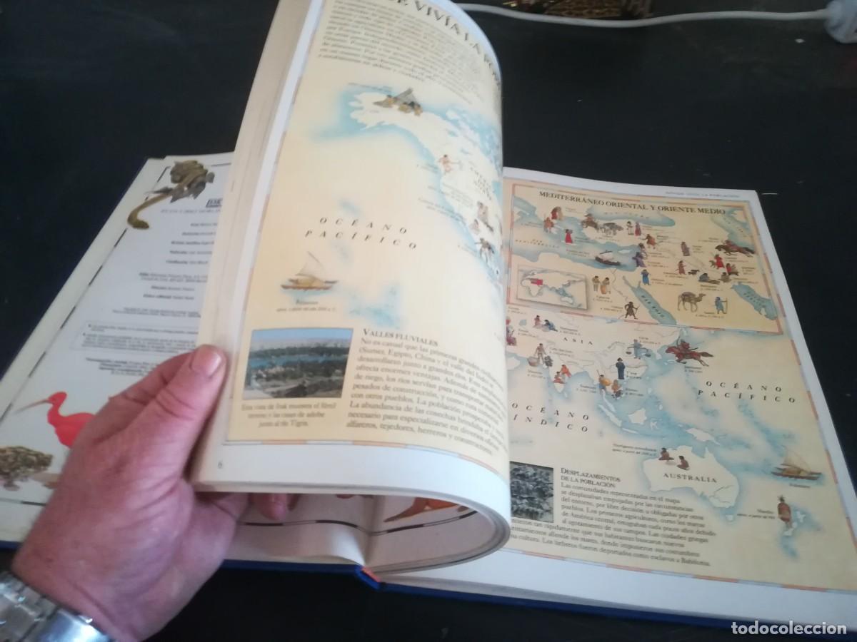 Libros de segunda mano: ATLAS VISUAL ANIMALES / EL PERIODICO / CONS451GV - Foto 16