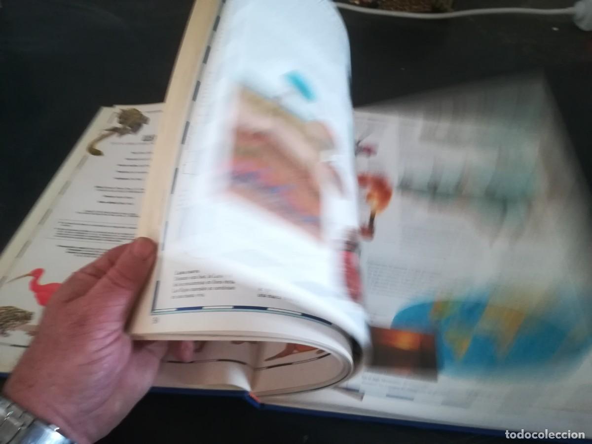 Libros de segunda mano: ATLAS VISUAL ANIMALES / EL PERIODICO / CONS451GV - Foto 17