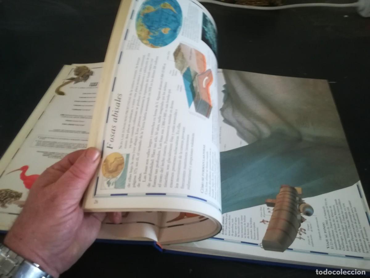 Libros de segunda mano: ATLAS VISUAL ANIMALES / EL PERIODICO / CONS451GV - Foto 18