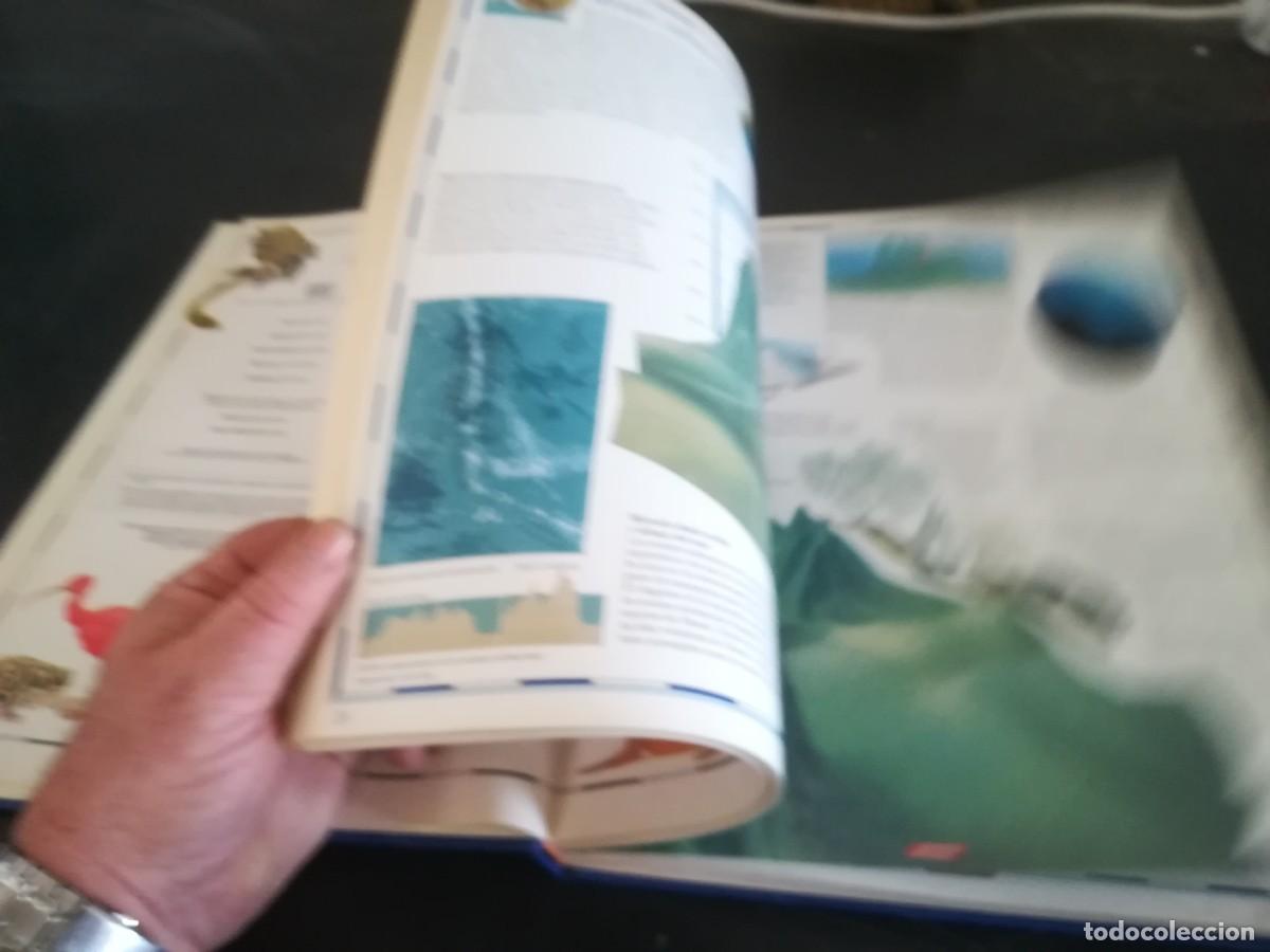 Libros de segunda mano: ATLAS VISUAL ANIMALES / EL PERIODICO / CONS451GV - Foto 19