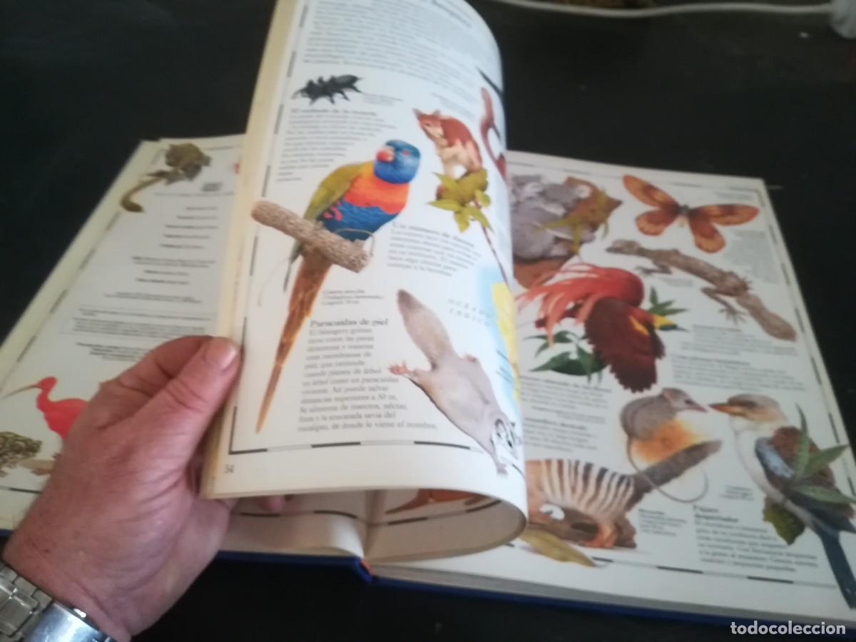 Libros de segunda mano: ATLAS VISUAL ANIMALES / EL PERIODICO / CONS451GV - Foto 21