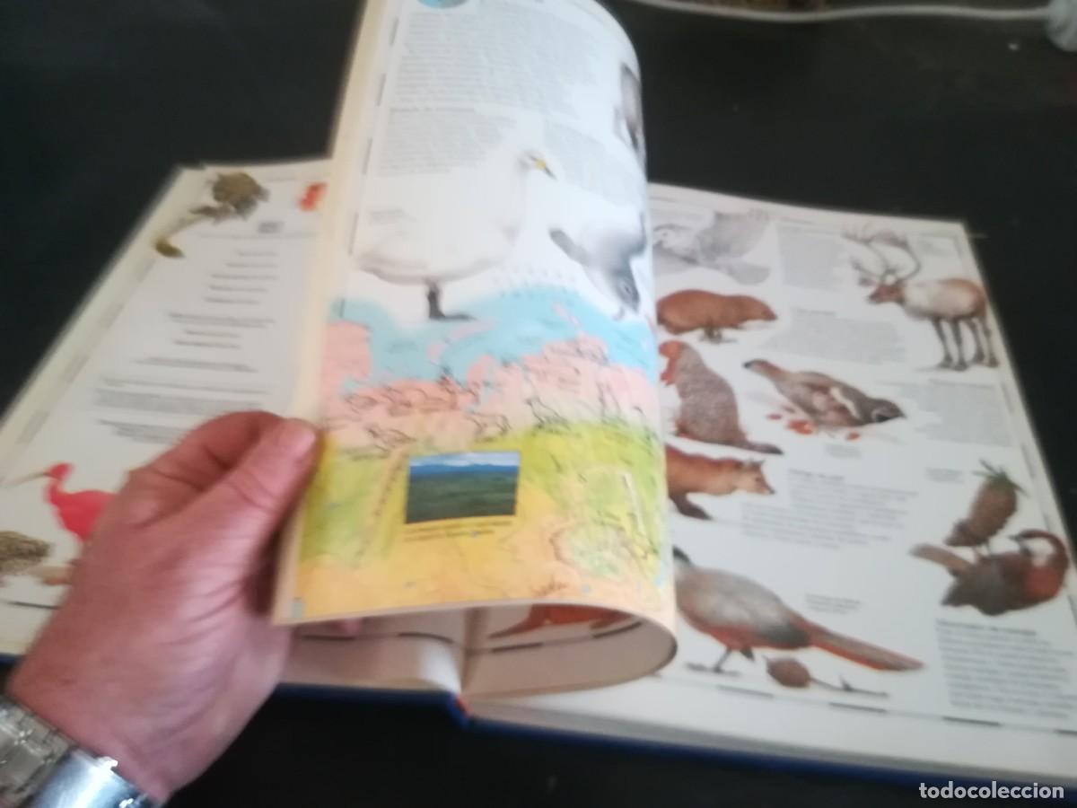 Libros de segunda mano: ATLAS VISUAL ANIMALES / EL PERIODICO / CONS451GV - Foto 22