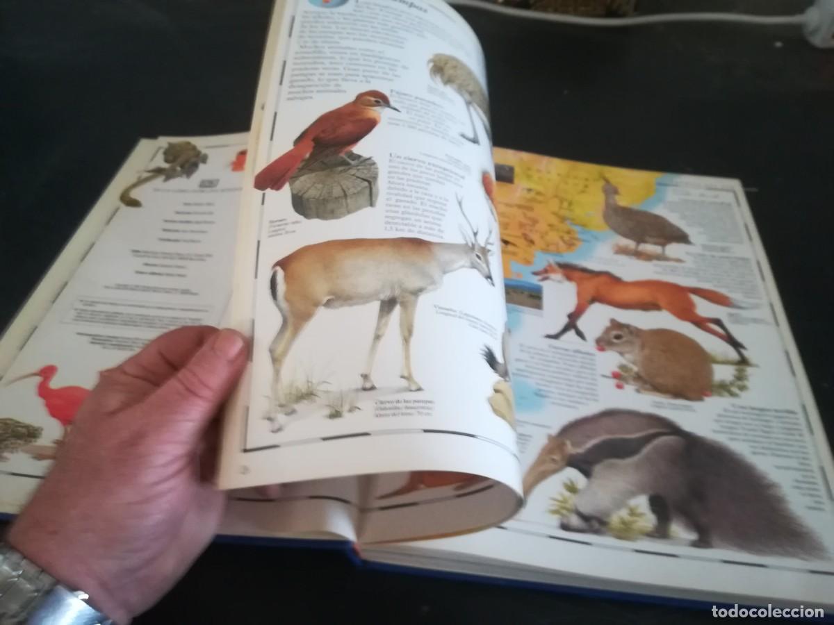 Libros de segunda mano: ATLAS VISUAL ANIMALES / EL PERIODICO / CONS451GV - Foto 23
