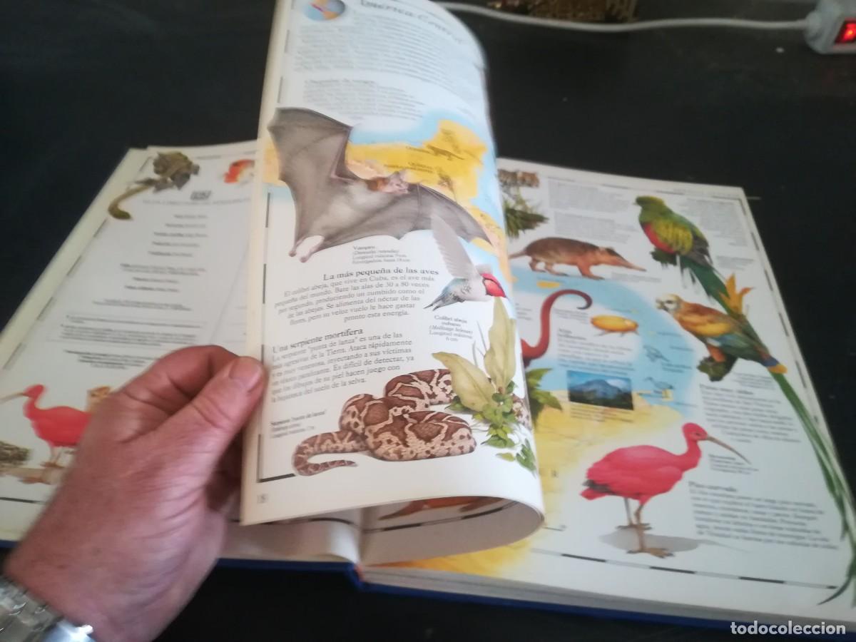 Libros de segunda mano: ATLAS VISUAL ANIMALES / EL PERIODICO / CONS451GV - Foto 24
