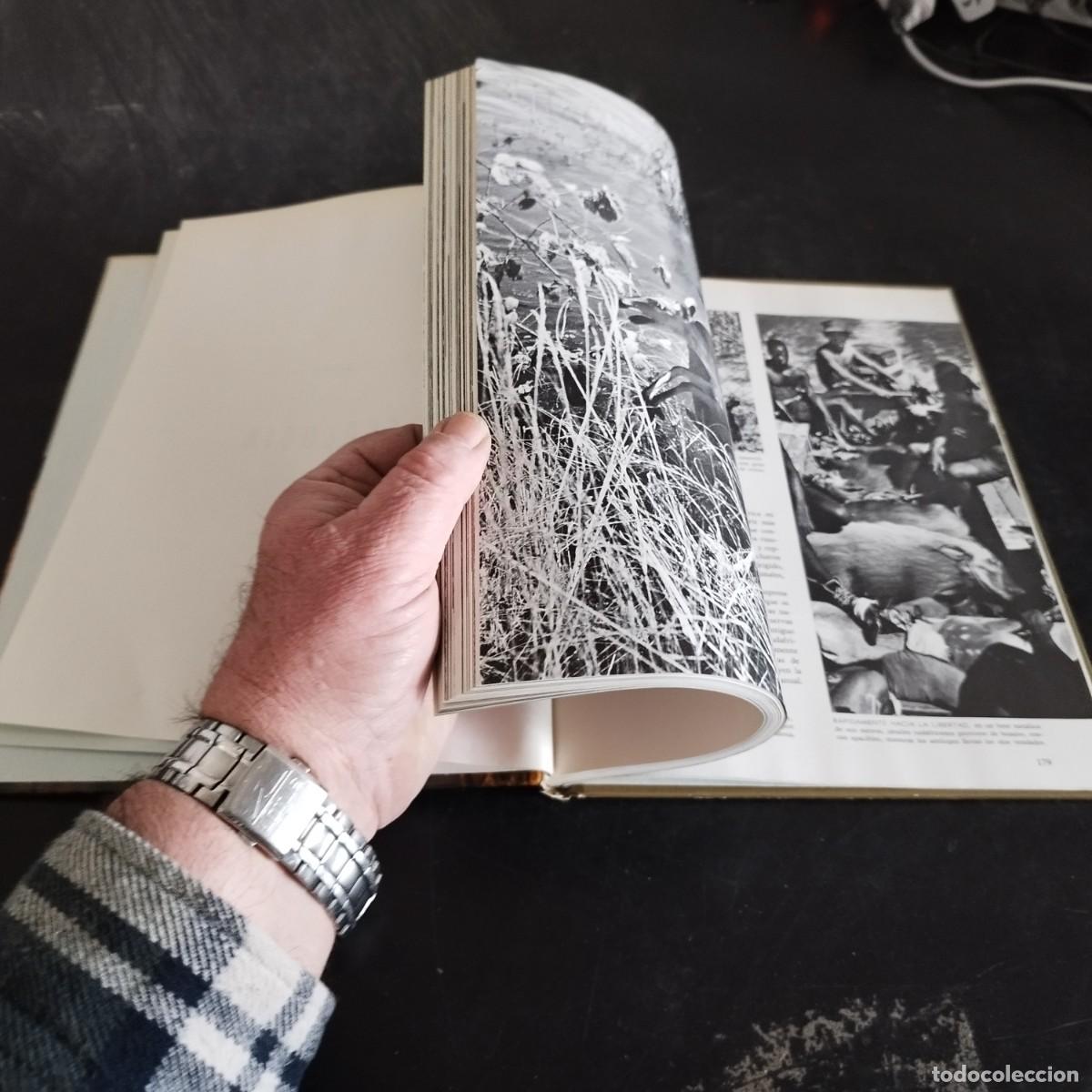 Libros de segunda mano: ECOLOGIA / TIME LIFE, COLECCI&Oacute;N NATURALEZA / CONS17-20E - Foto 6