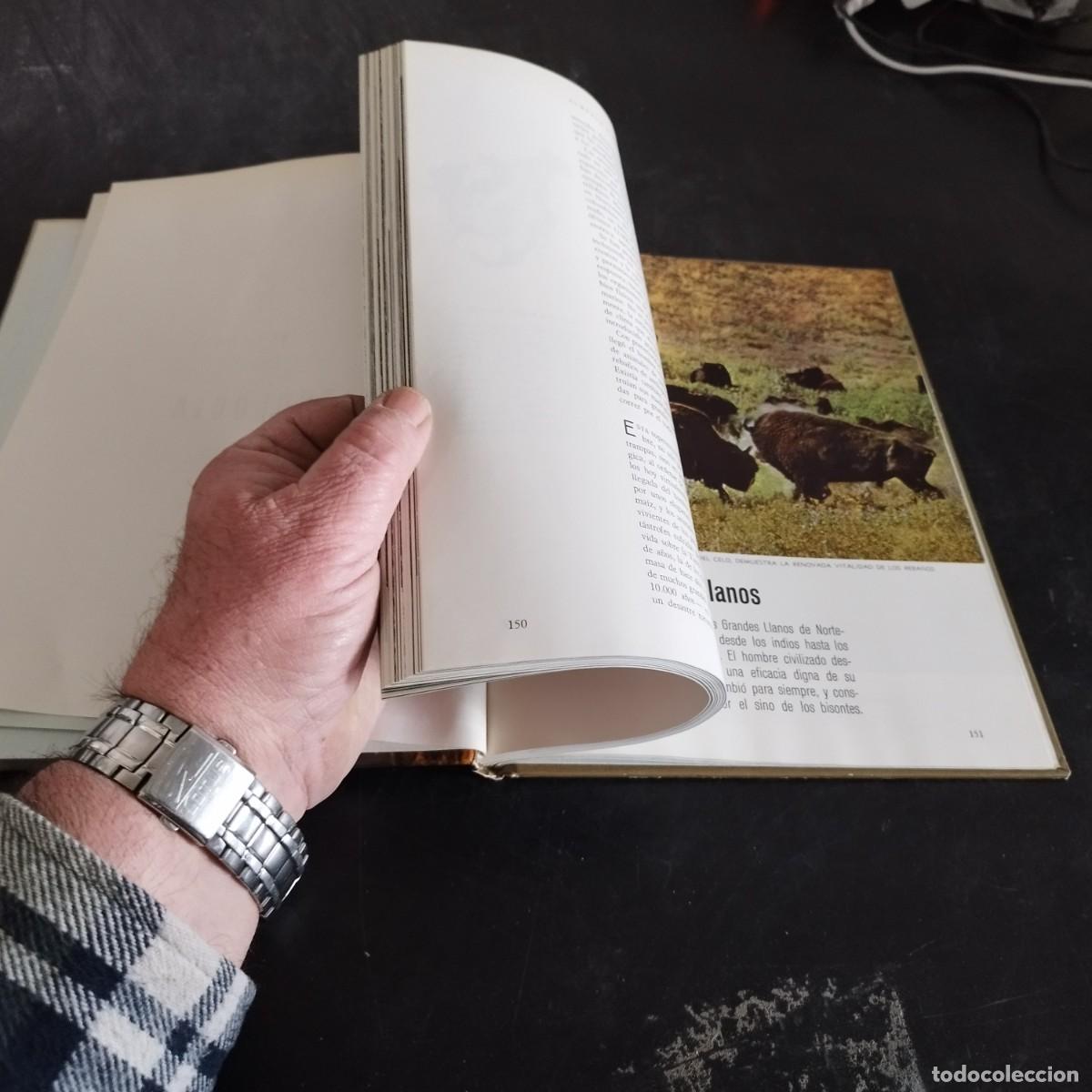 Libros de segunda mano: ECOLOGIA / TIME LIFE, COLECCI&Oacute;N NATURALEZA / CONS17-20E - Foto 7