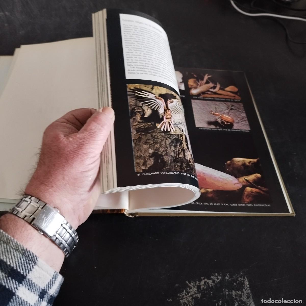 Libros de segunda mano: ECOLOGIA / TIME LIFE, COLECCI&Oacute;N NATURALEZA / CONS17-20E - Foto 8