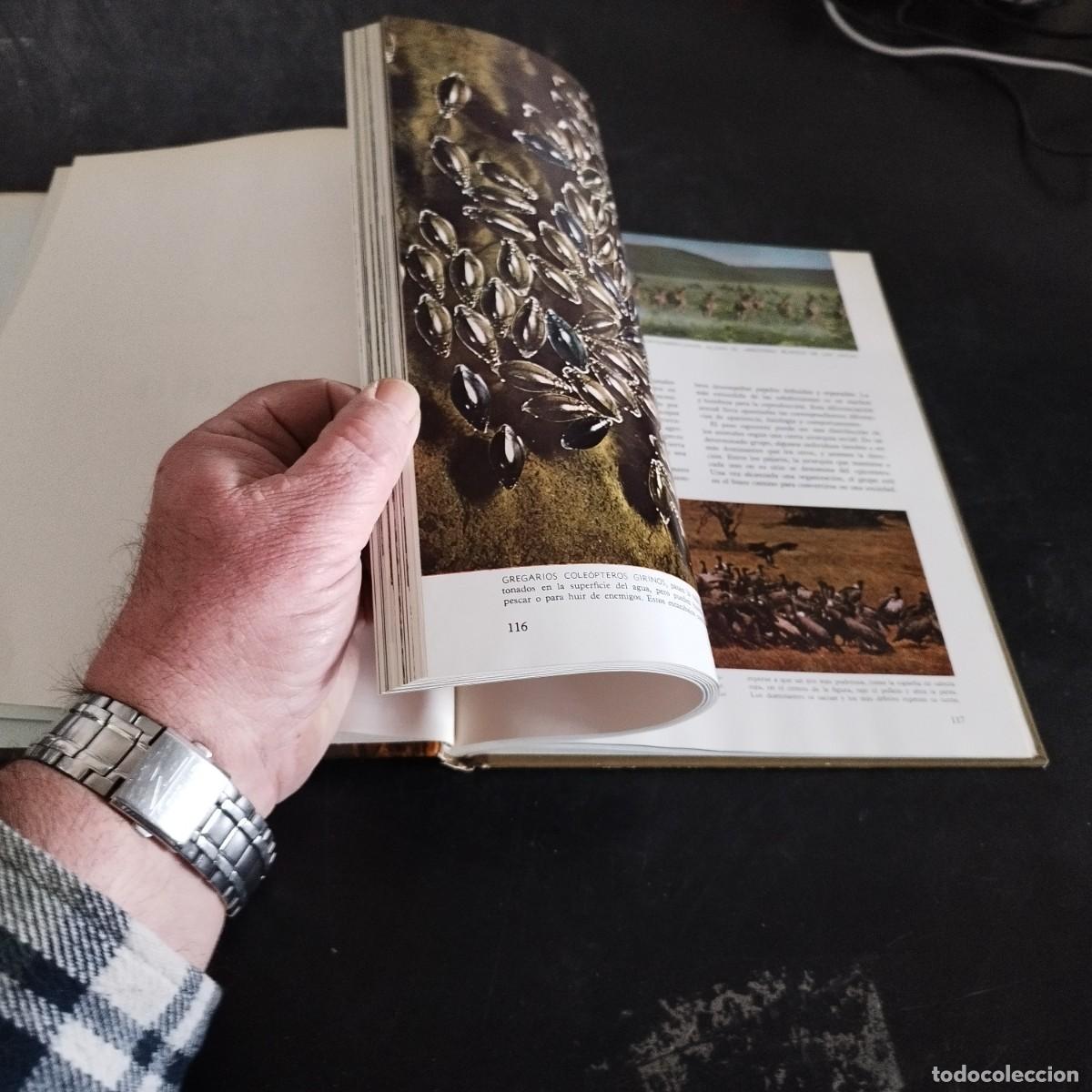 Libros de segunda mano: ECOLOGIA / TIME LIFE, COLECCI&Oacute;N NATURALEZA / CONS17-20E - Foto 9