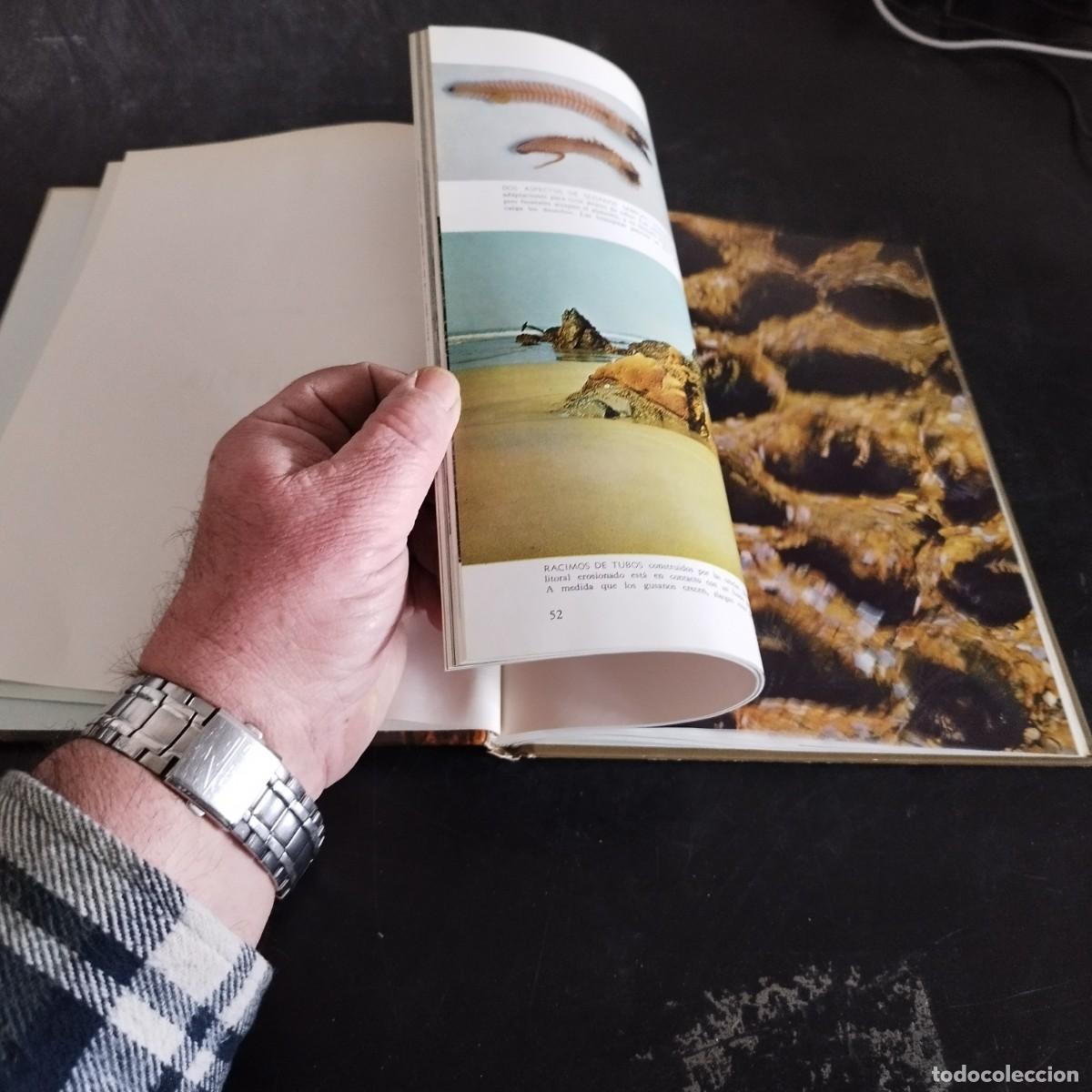 Libros de segunda mano: ECOLOGIA / TIME LIFE, COLECCI&Oacute;N NATURALEZA / CONS17-20E - Foto 11