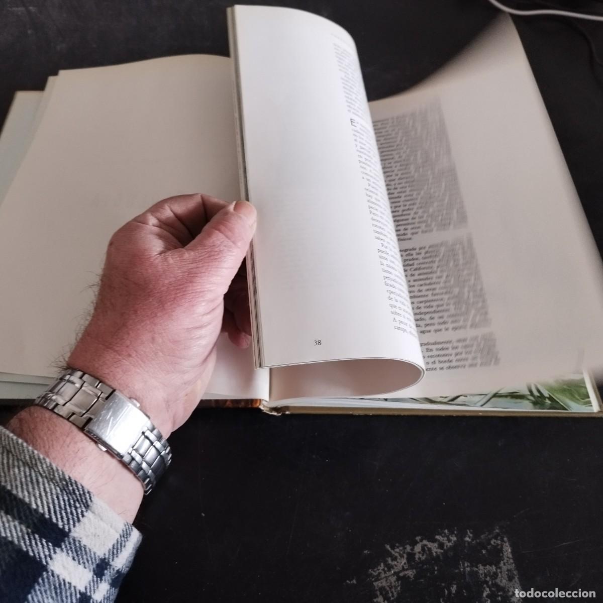 Libros de segunda mano: ECOLOGIA / TIME LIFE, COLECCI&Oacute;N NATURALEZA / CONS17-20E - Foto 12