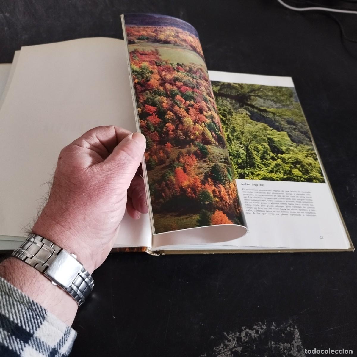 Libros de segunda mano: ECOLOGIA / TIME LIFE, COLECCI&Oacute;N NATURALEZA / CONS17-20E - Foto 13